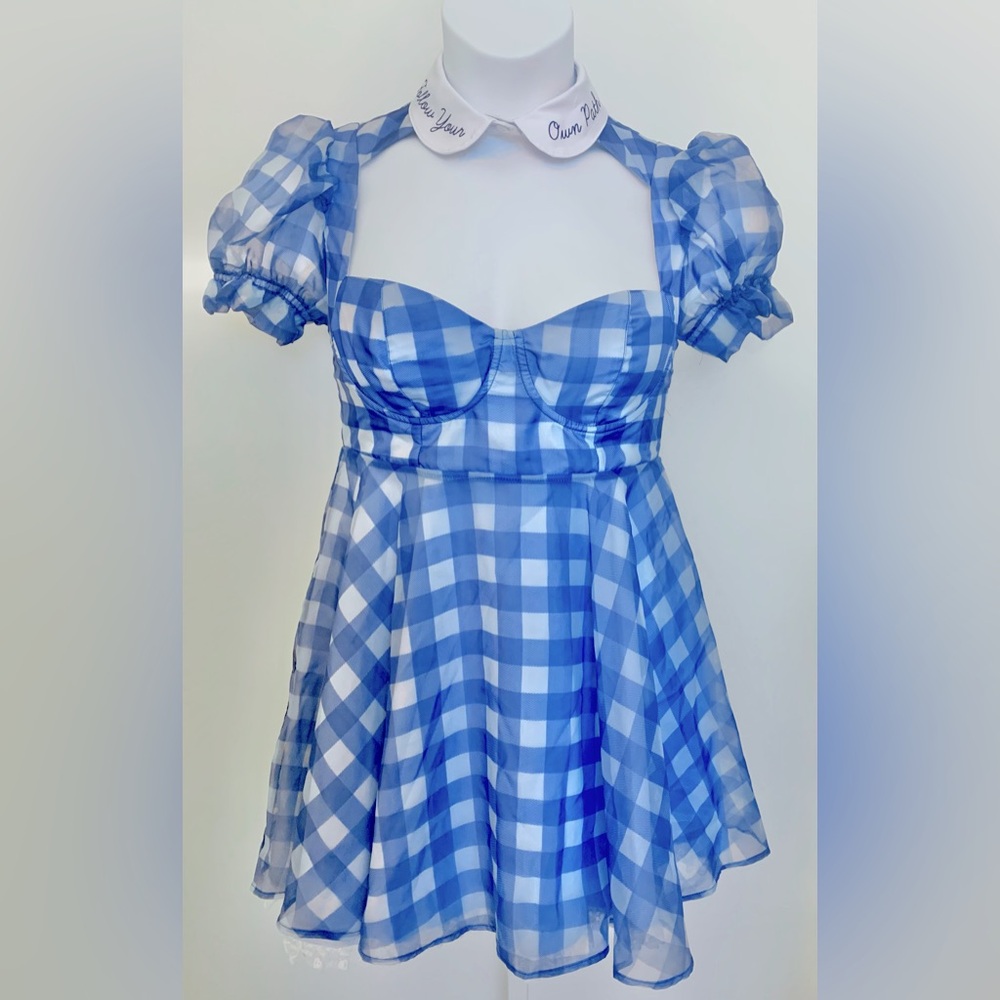 Dolls Kill Blue and White Gingham Puff Sleeve Babydoll Dress